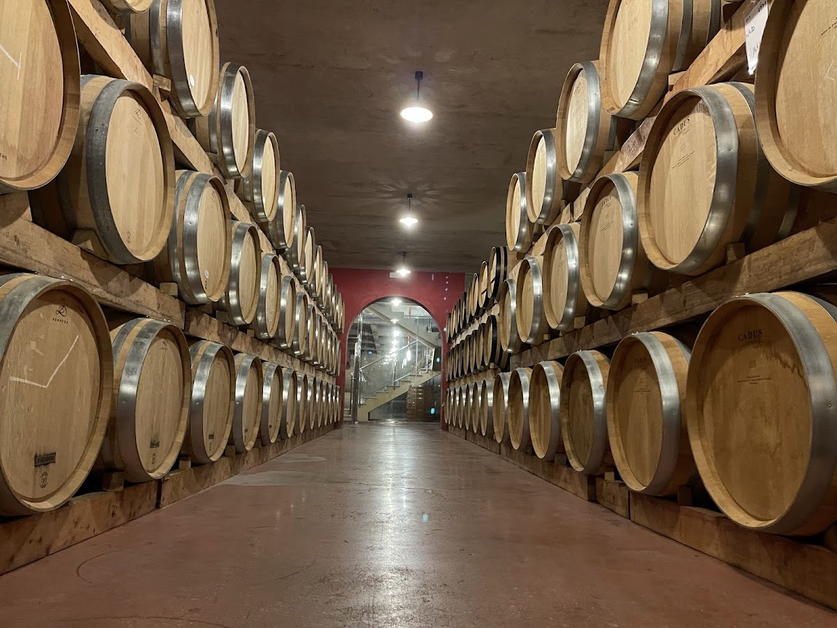 Celler Macià Batle