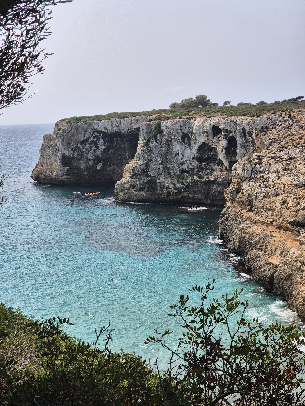 Cova des Coloms