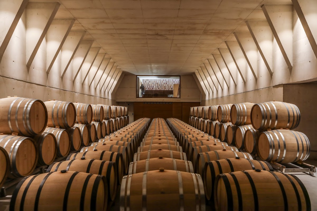 Bodega Ribas