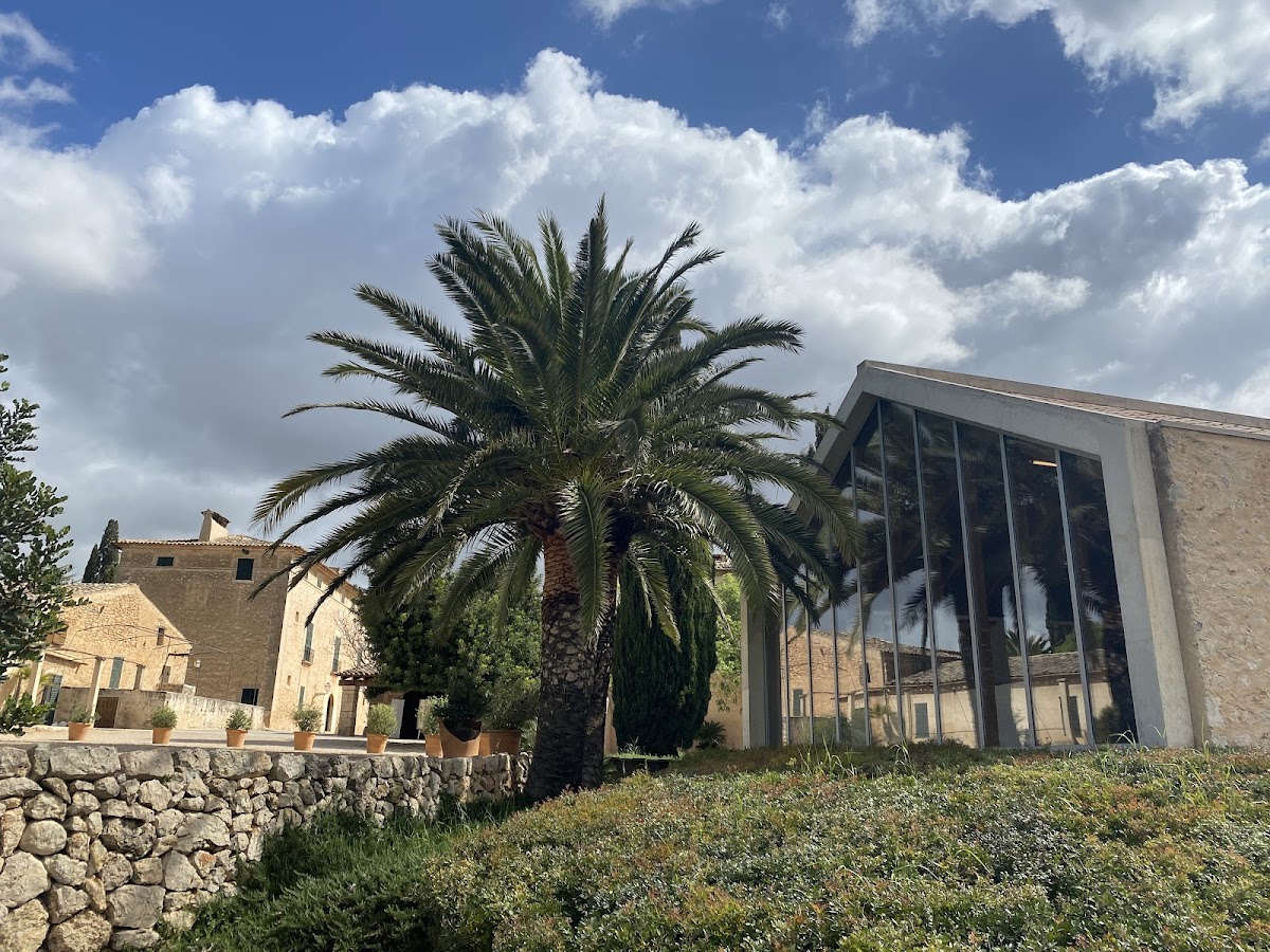 Bodega Ribas