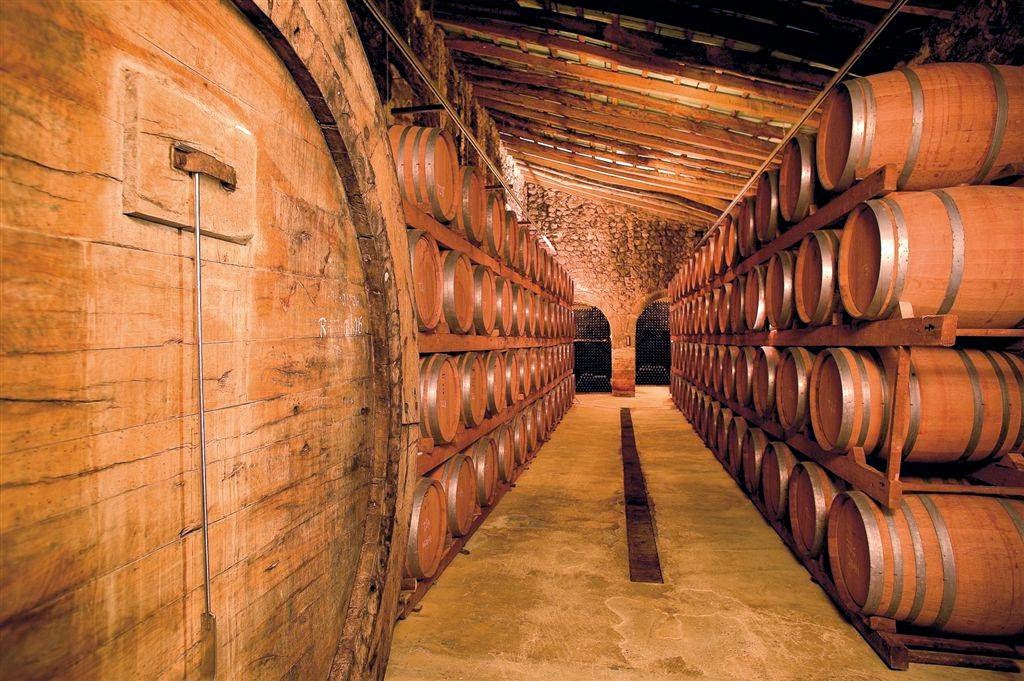 Bodega Ribas