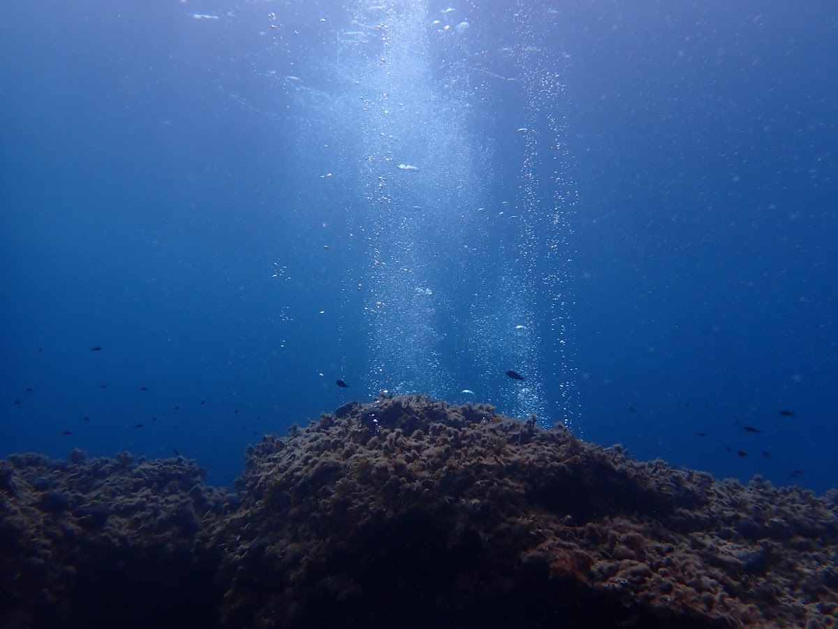 Diving & Adventure Mallorca