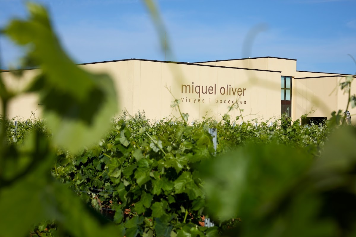 Miquel Oliver Vinyes i Bodegues