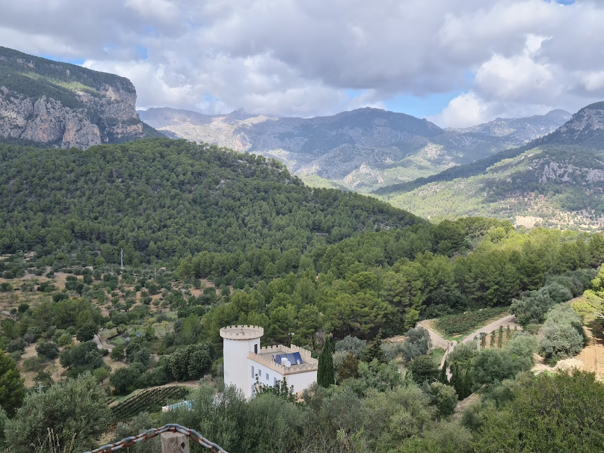 Bodegues Castell Miquel