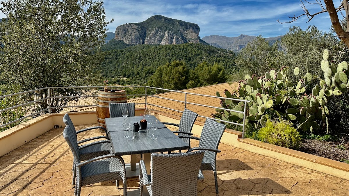 Bodegues Castell Miquel