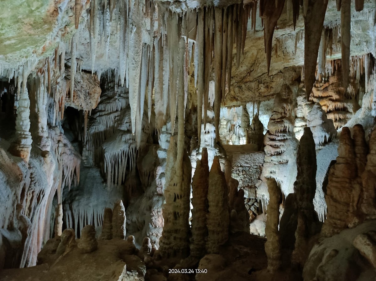 Coves de Campanet