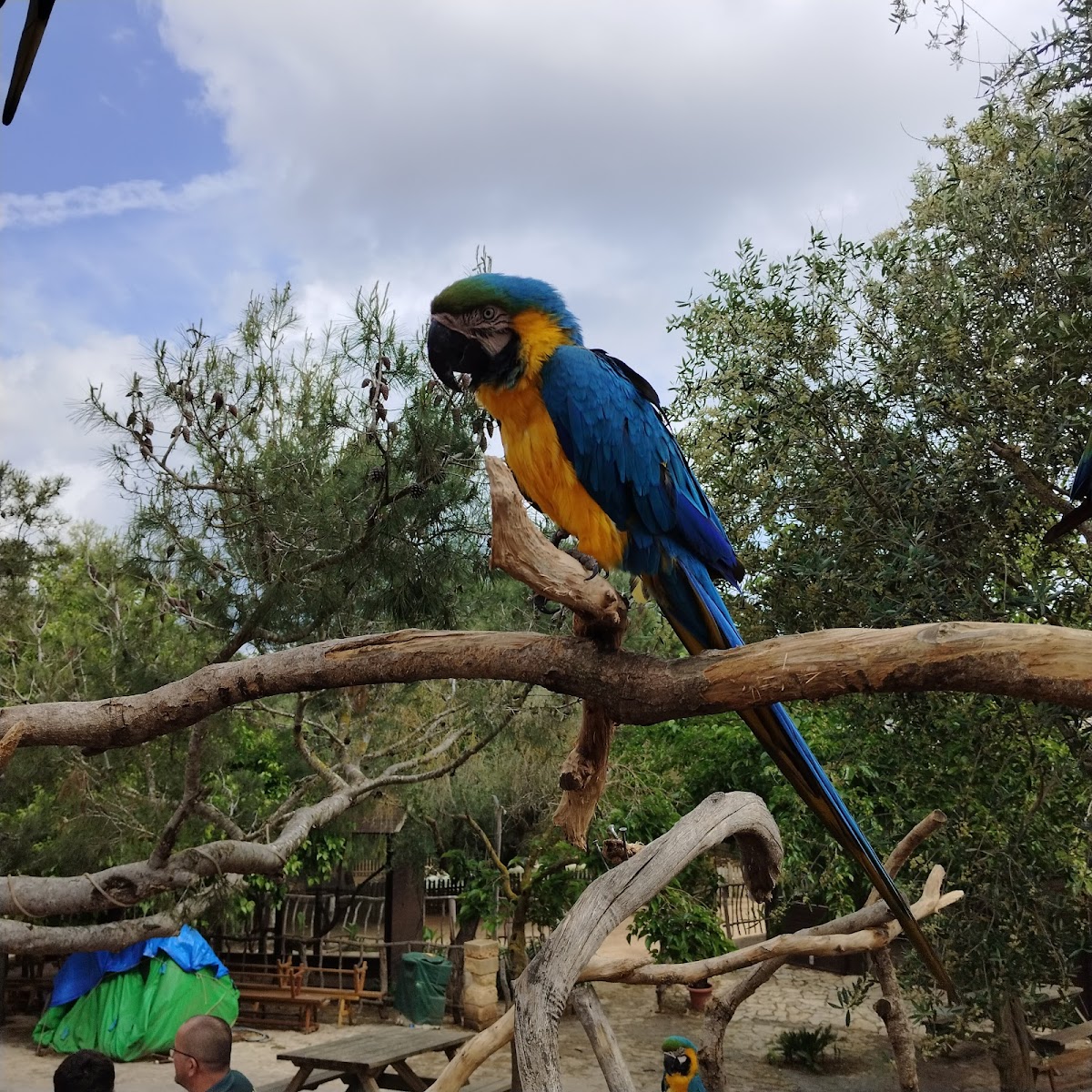 Rancho Grande Park