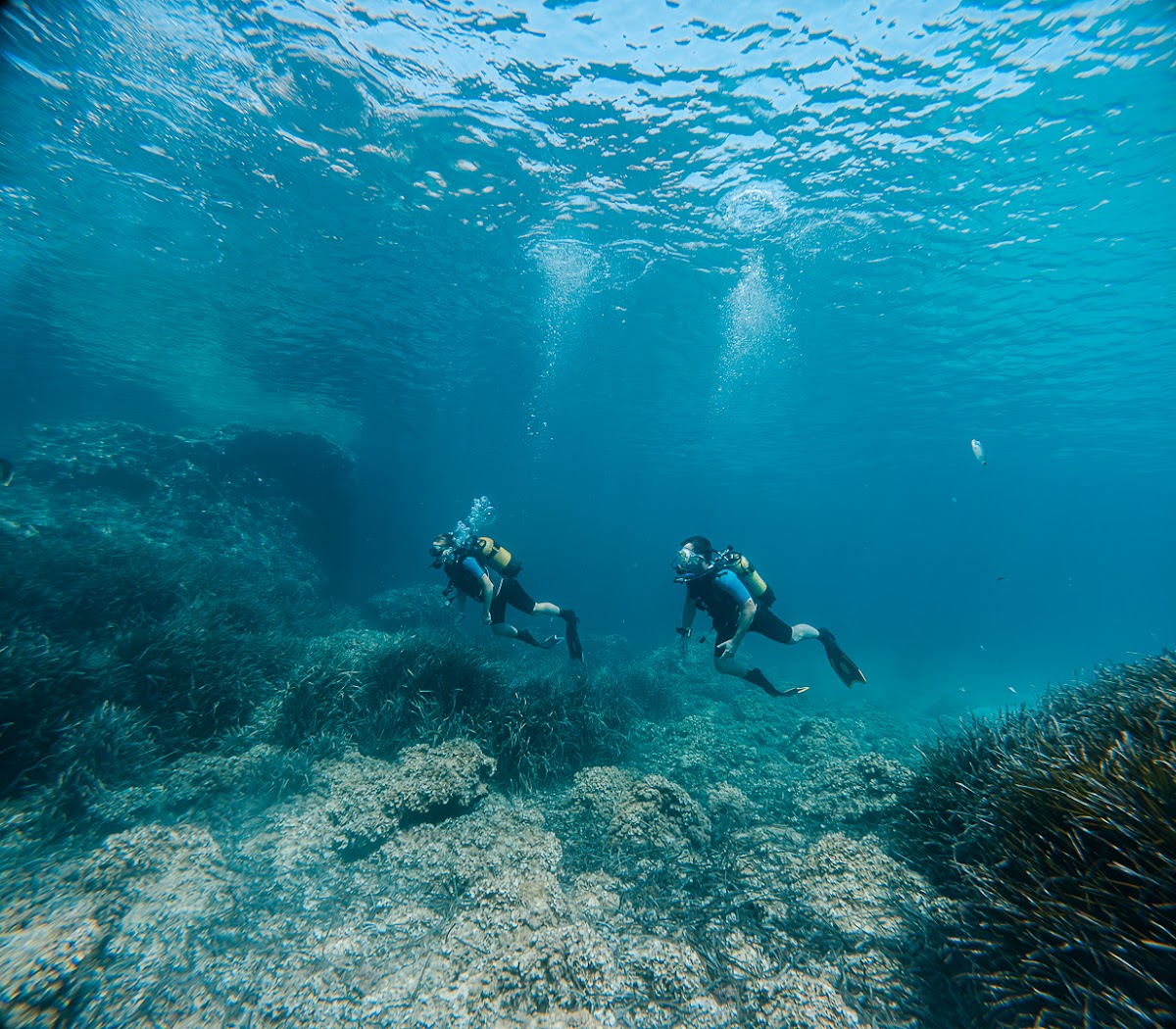 Eco Island Adventure