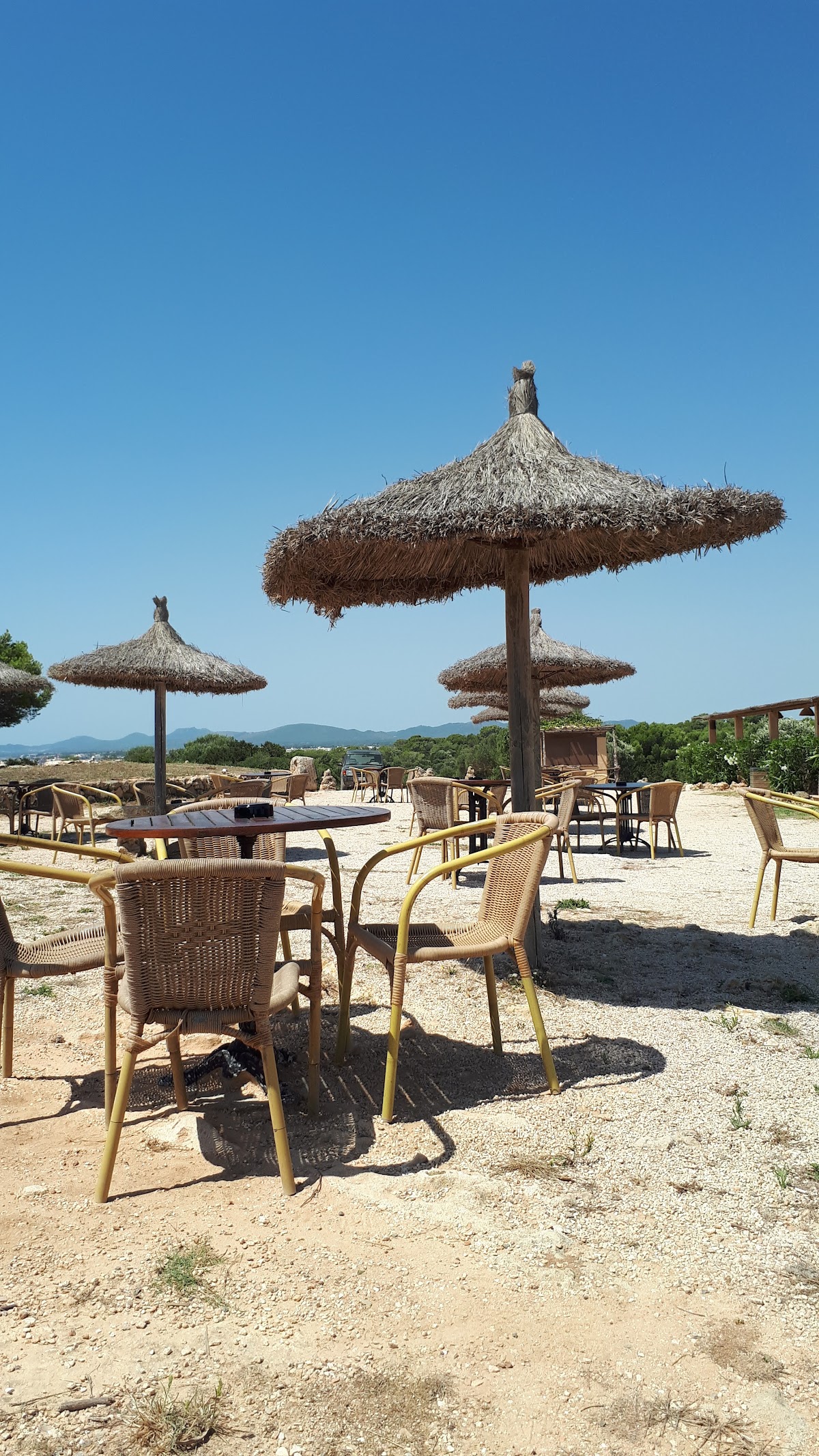 RESTAURANTE AMAPOLA BRASAS