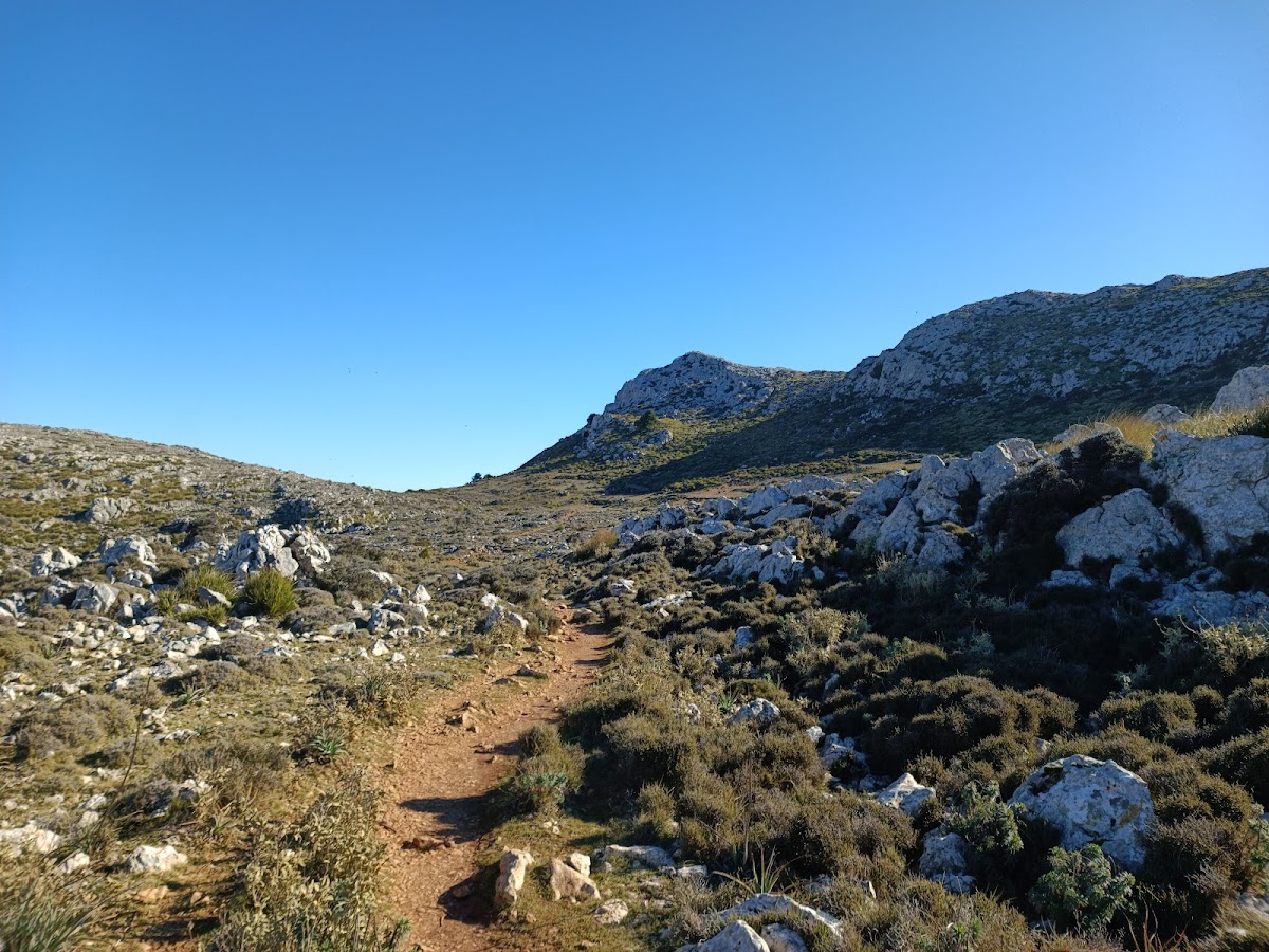 Puig des Teix