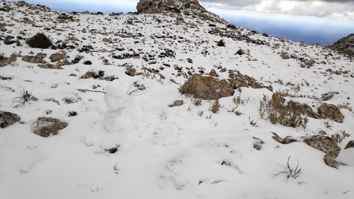 Puig des Teix