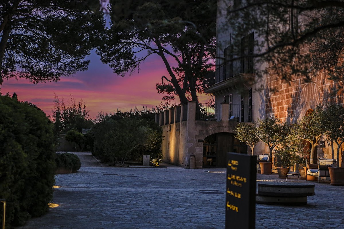 Restaurant Andreu Genestra