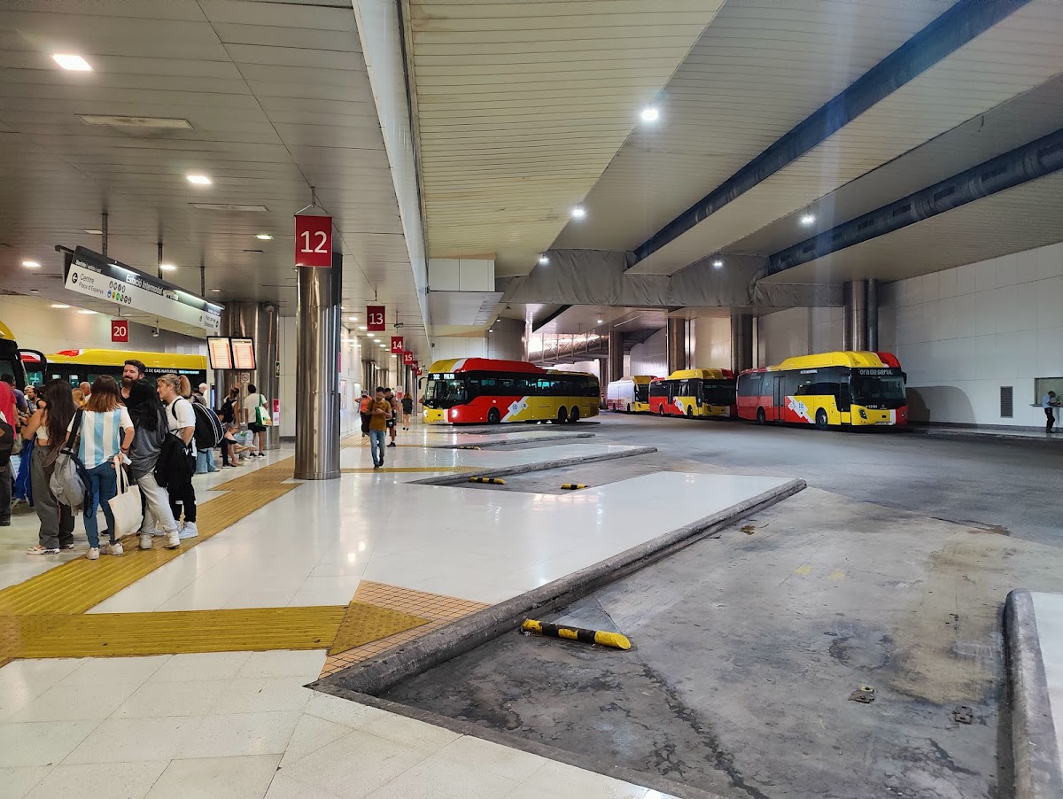 TIB - Transports de les Illes Balears
