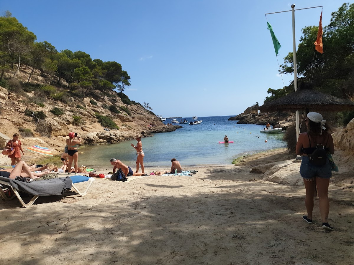 Cala Cap Falcó