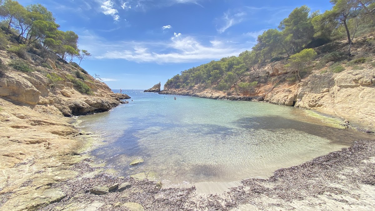 Cala Cap Falcó