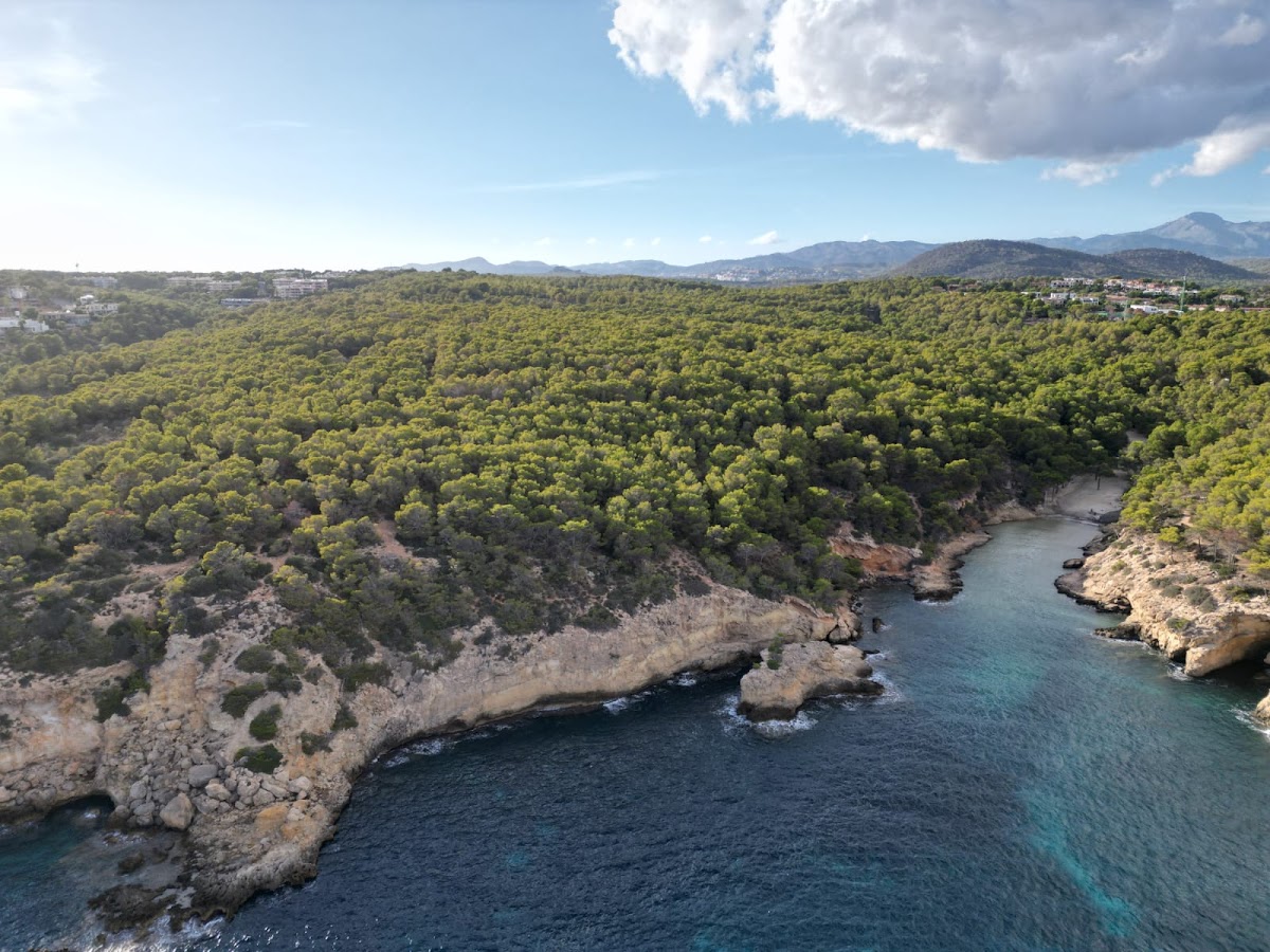 Cala Cap Falcó