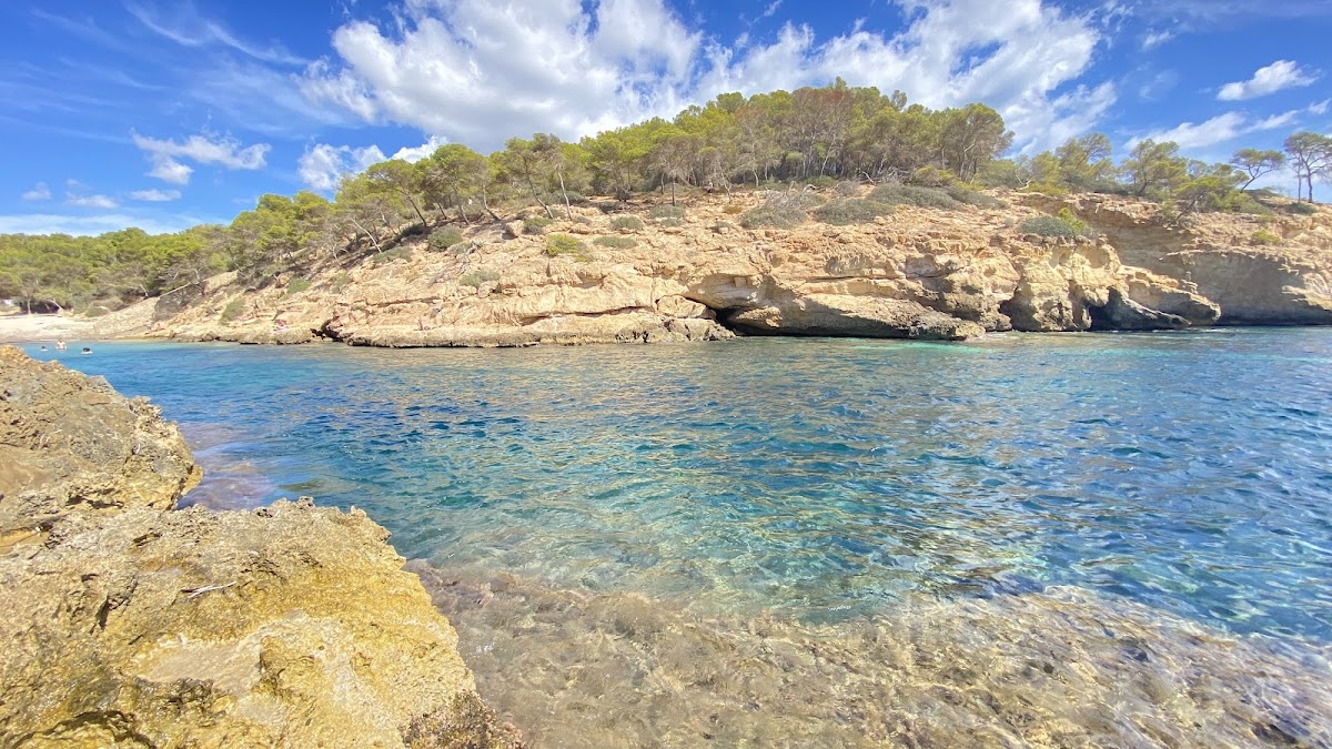 Cala Cap Falcó