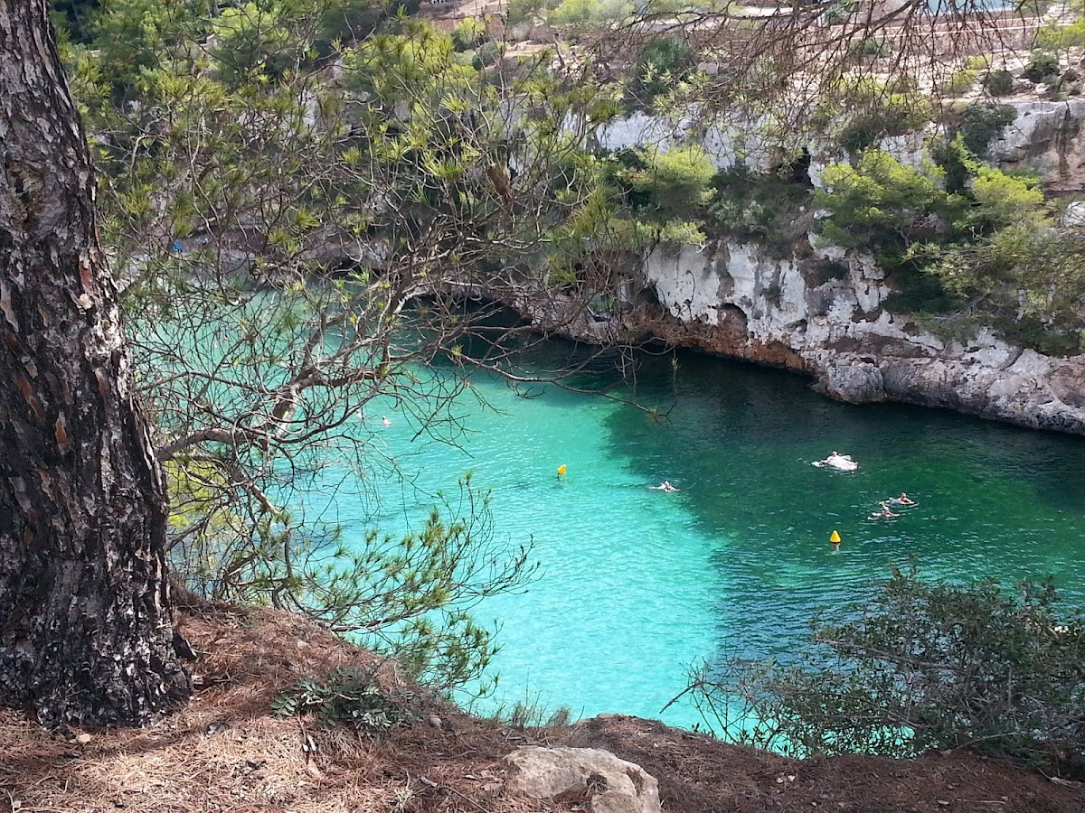Torrent de Cala Pi