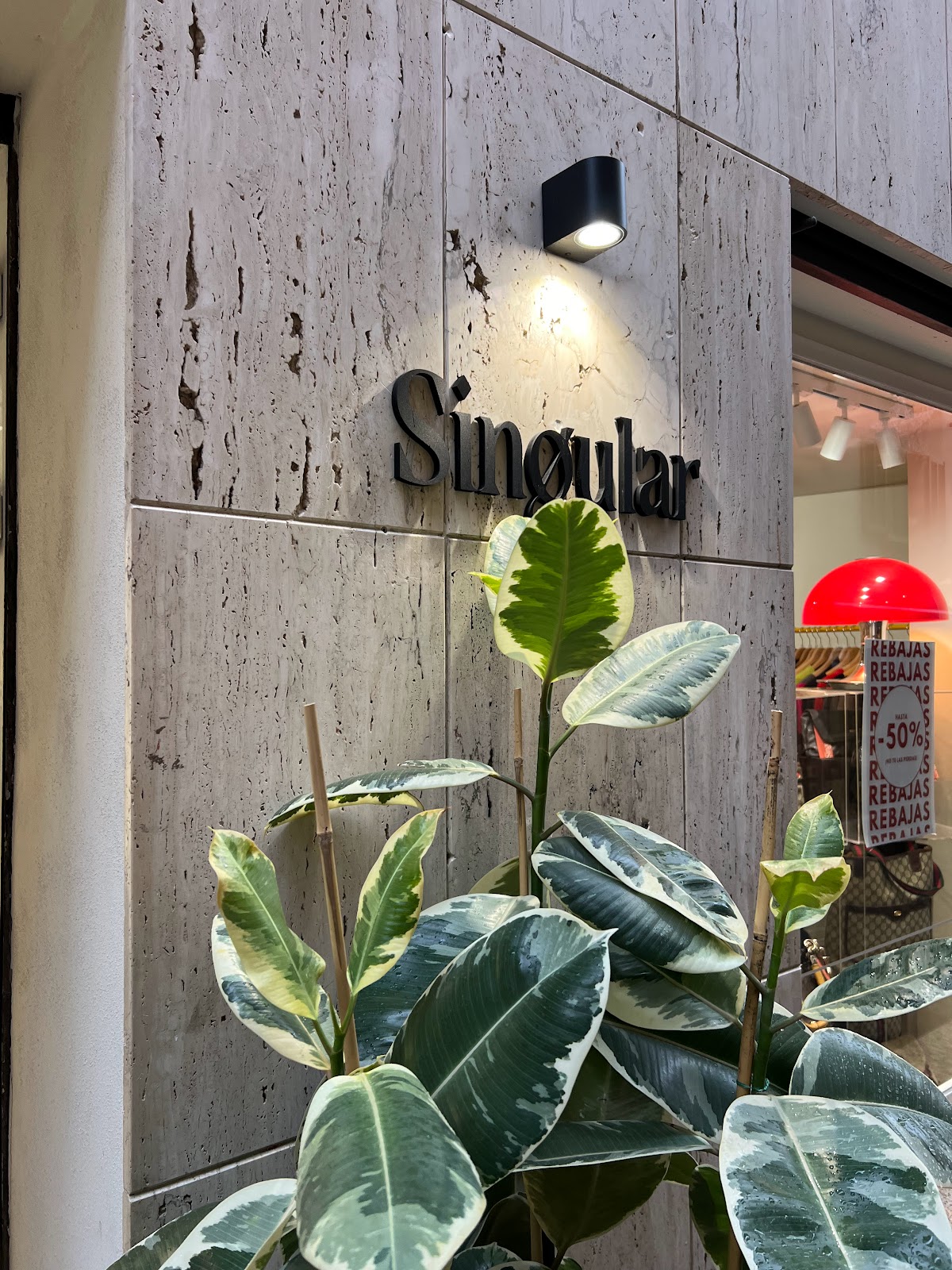 Singular Vintage House