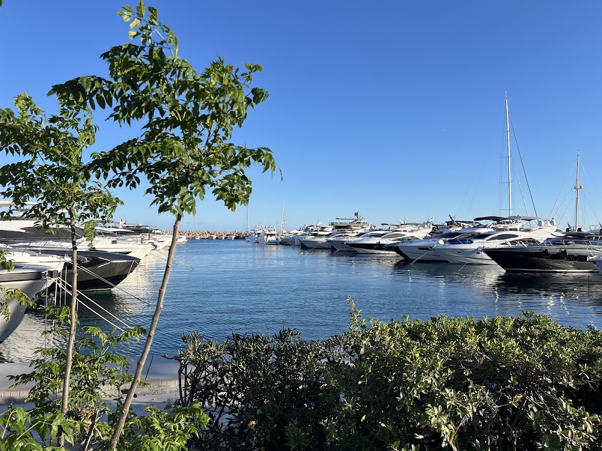 Puerto Portals