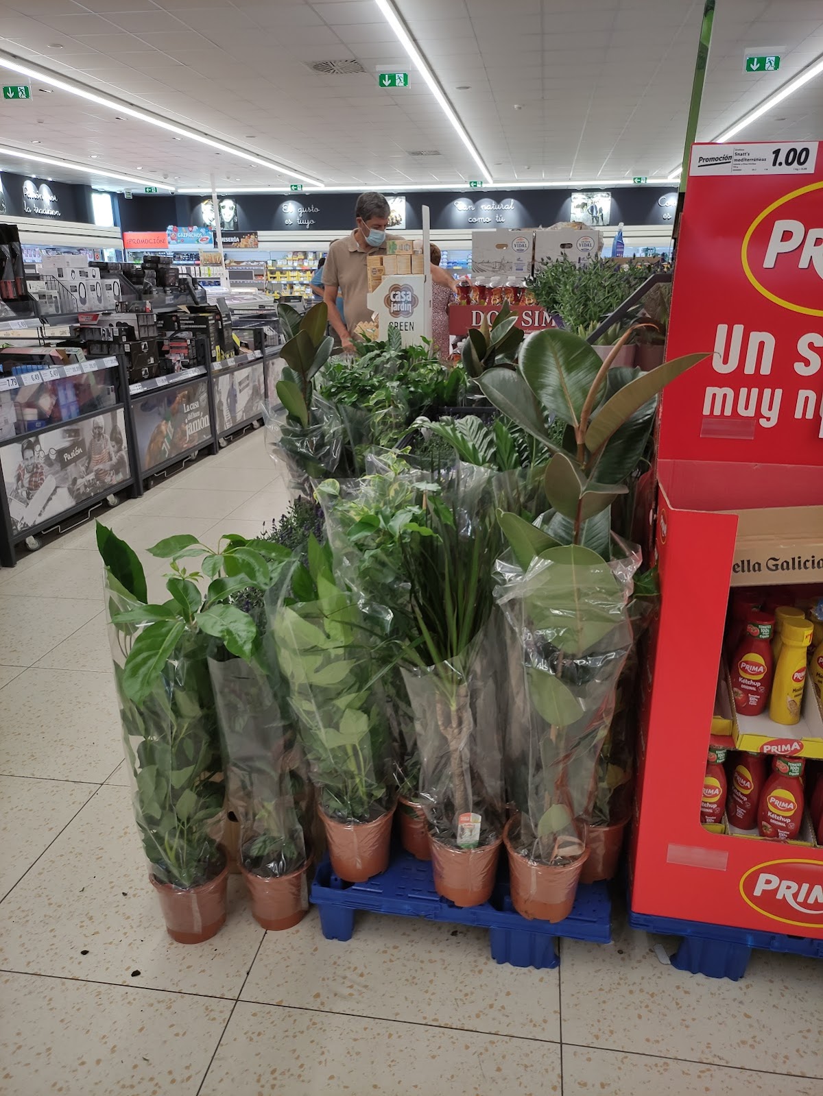 Lidl Marratxí