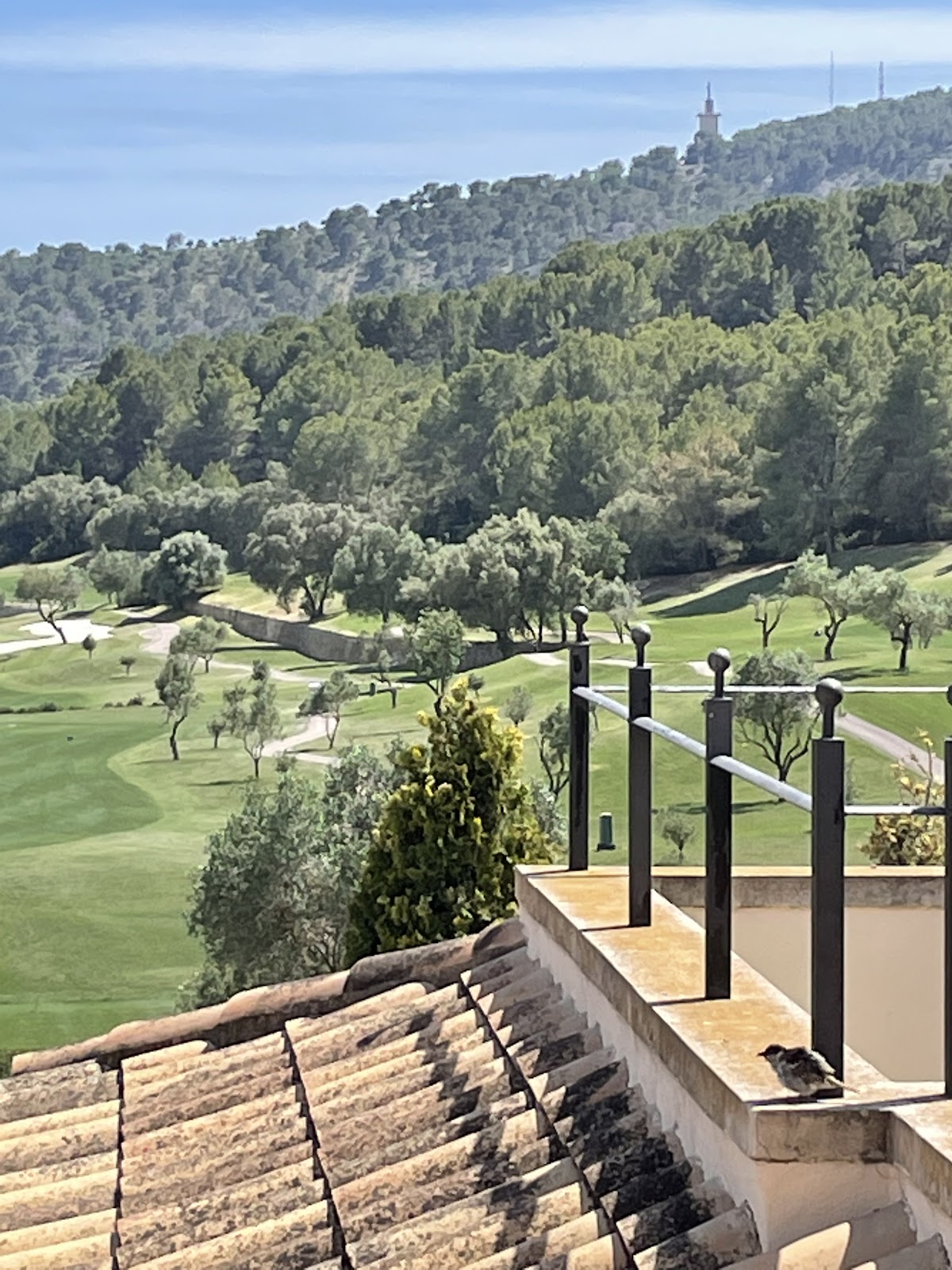 Golf Son Muntaner