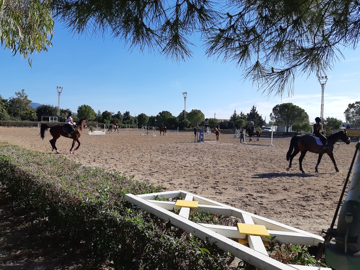 Club Hipico Son Reus