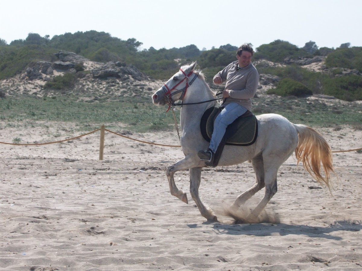 Rancho Ca'n Picafort