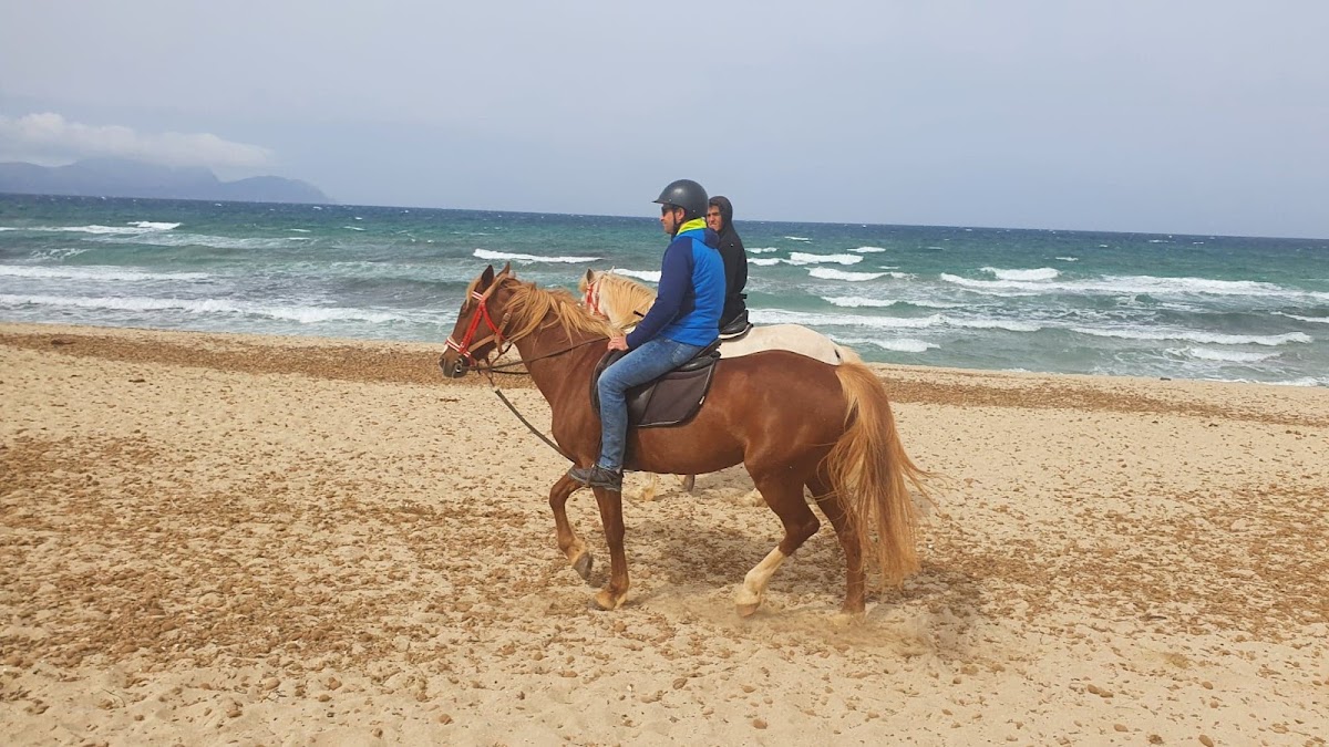 Rancho Ca'n Picafort