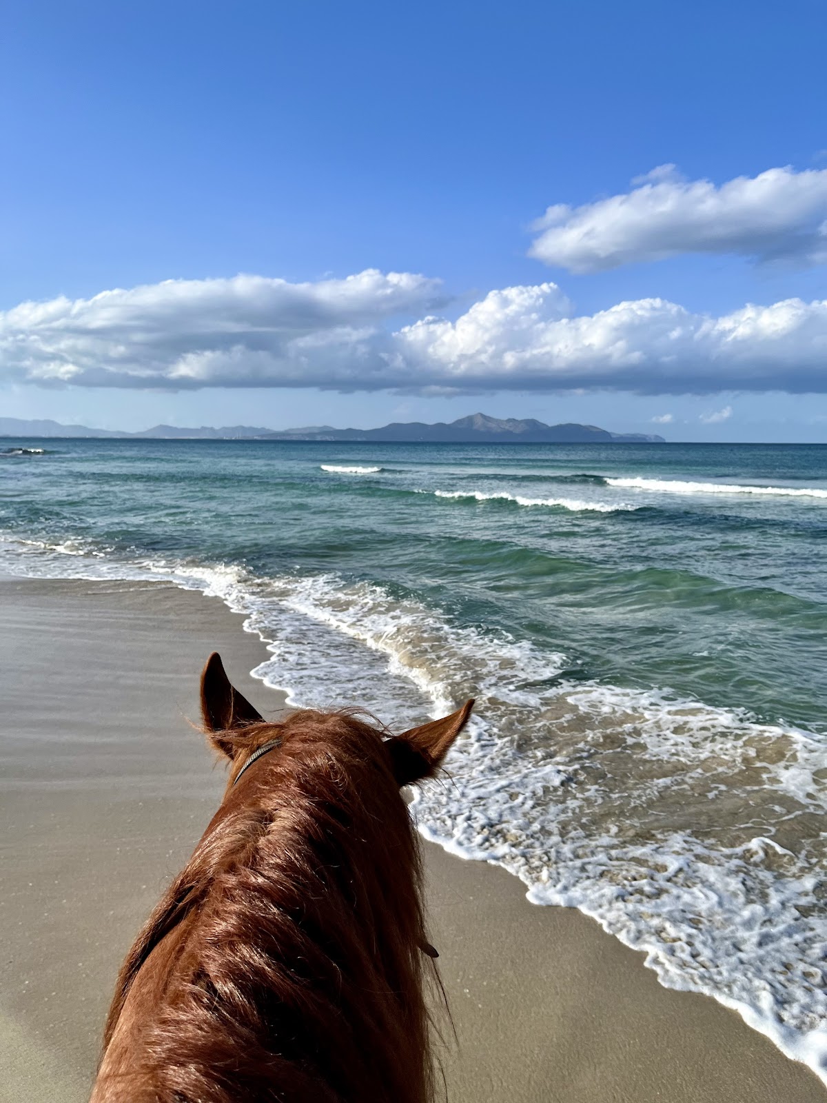 Rancho Ca'n Picafort