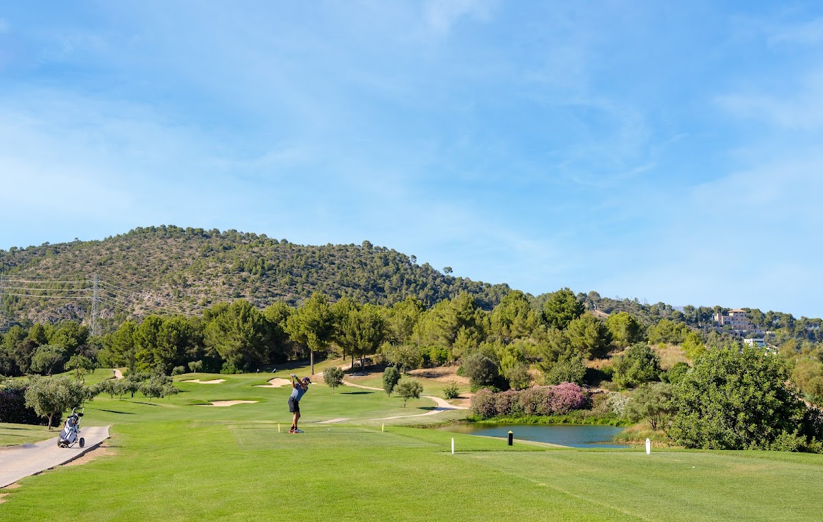 Golf Son Quint