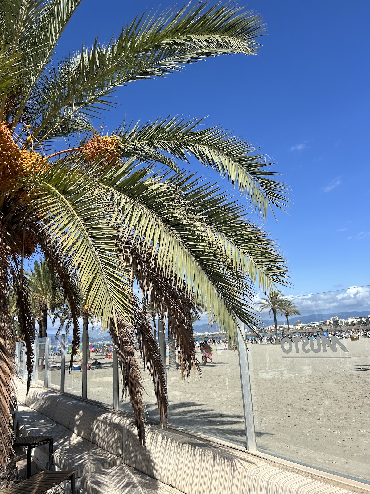 La Marina Beach Club Mallorca