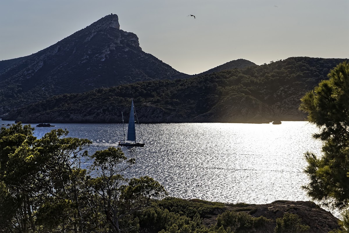 Cala en Basset
