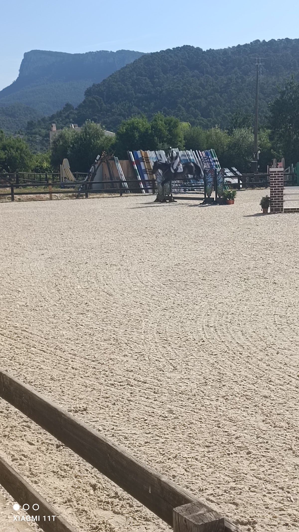 Palma Equestrian