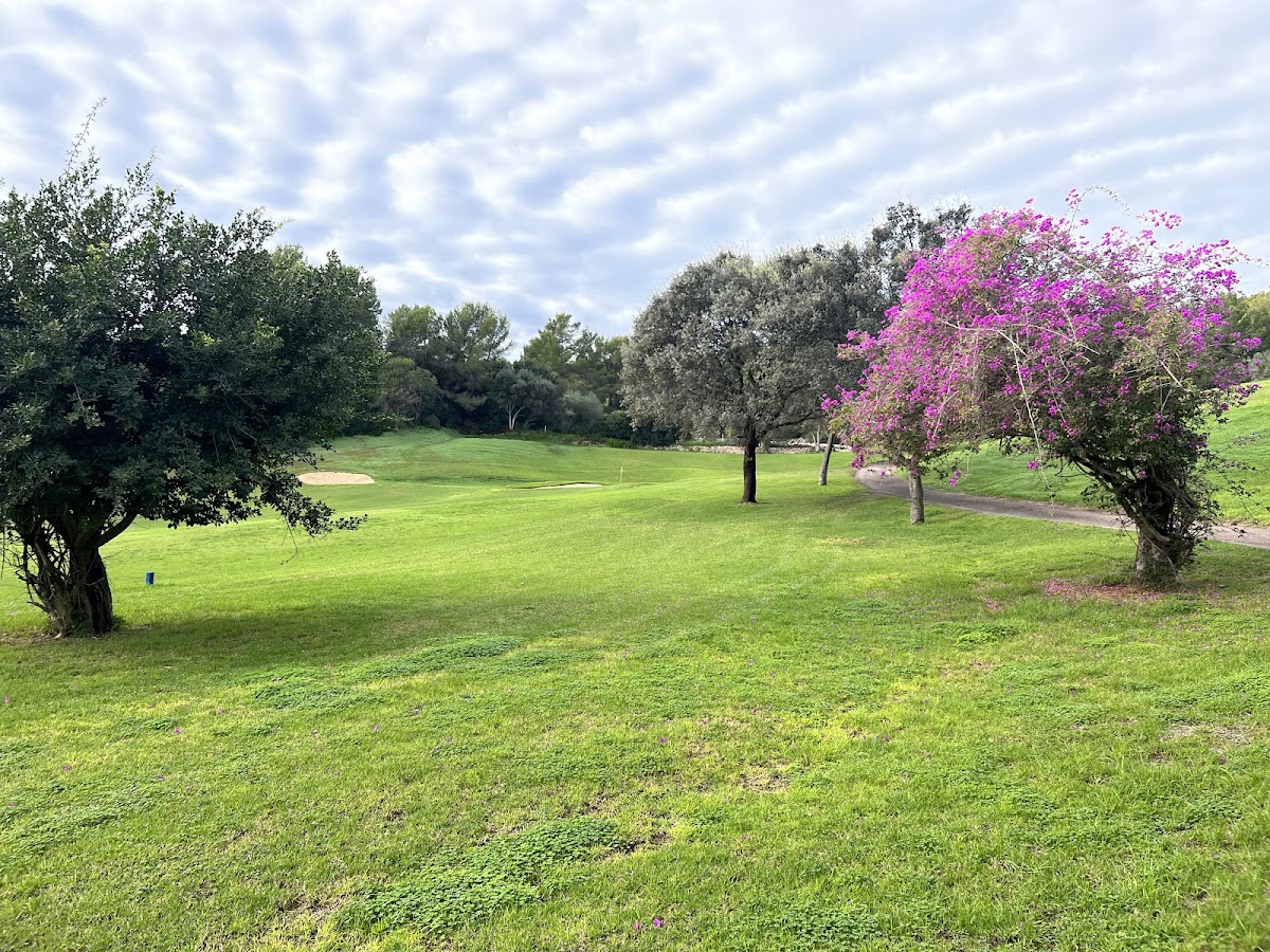 Real Golf de Bendinat