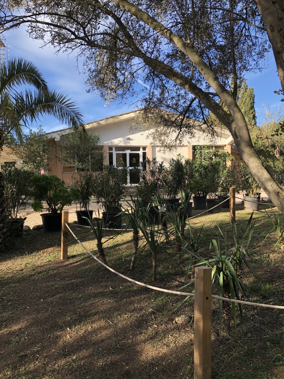 Real Club Escuela Equitación de Mallorca (RCEEM)