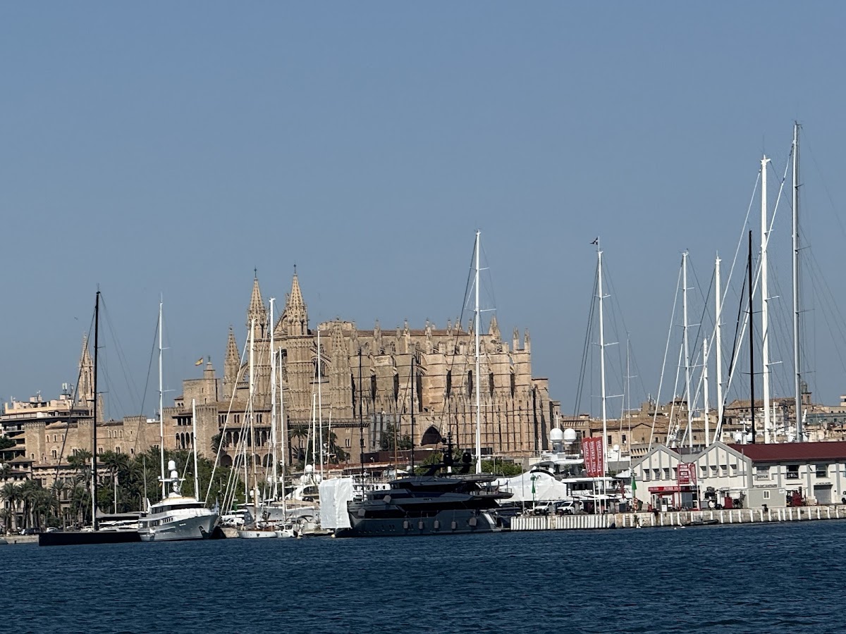 Attraction Catamarans Mallorca