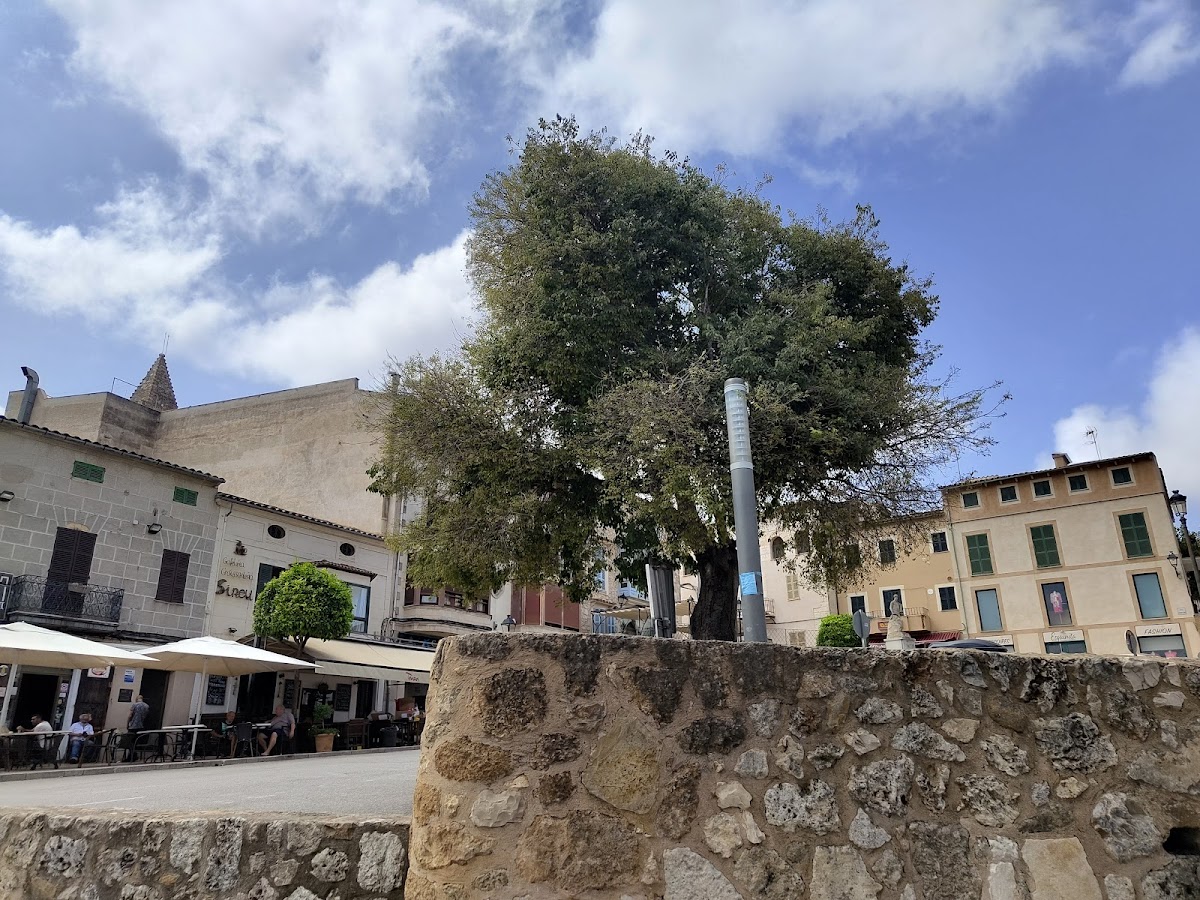 Ca´n Castell