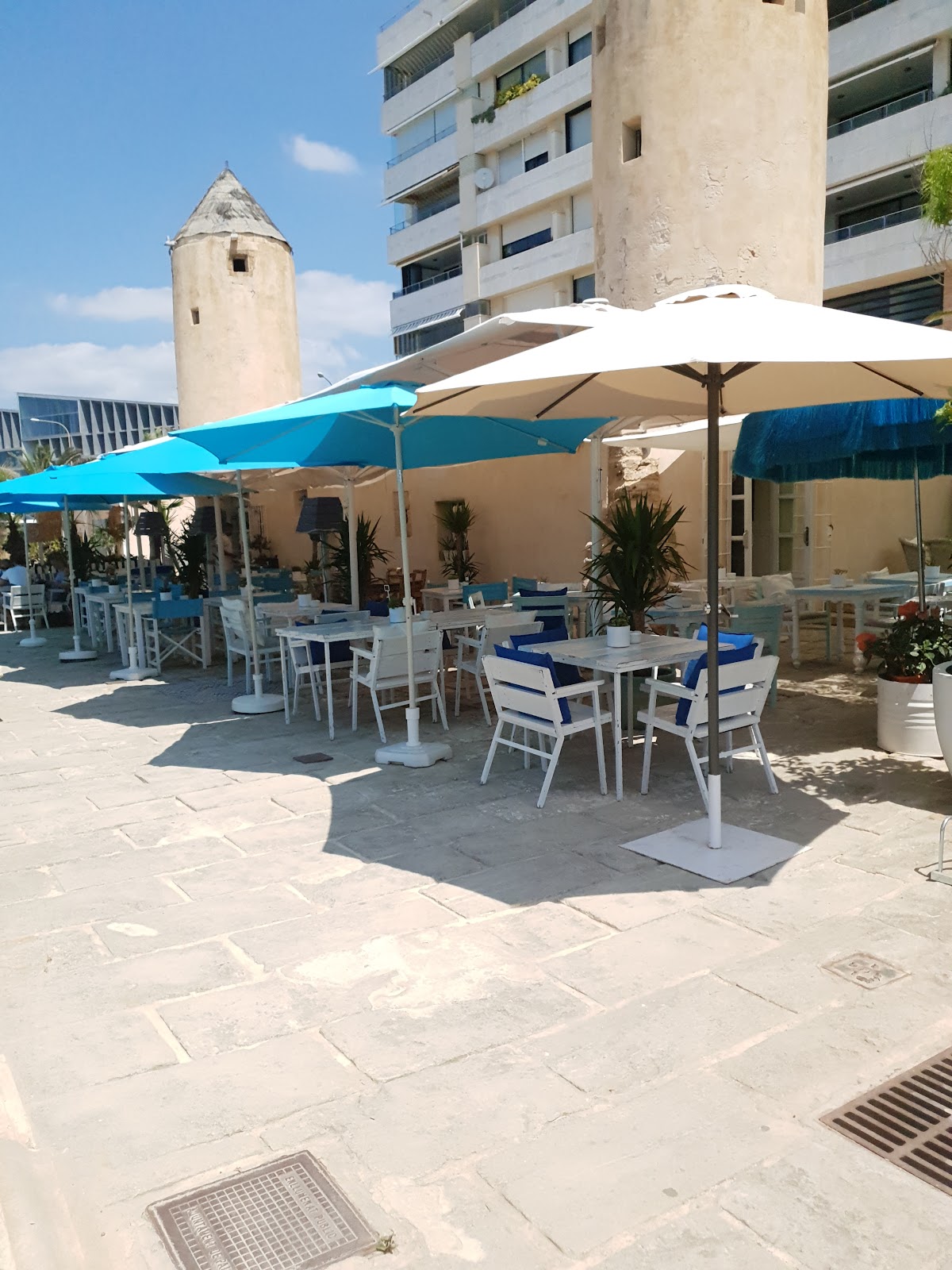 El Molino Mediterraneo