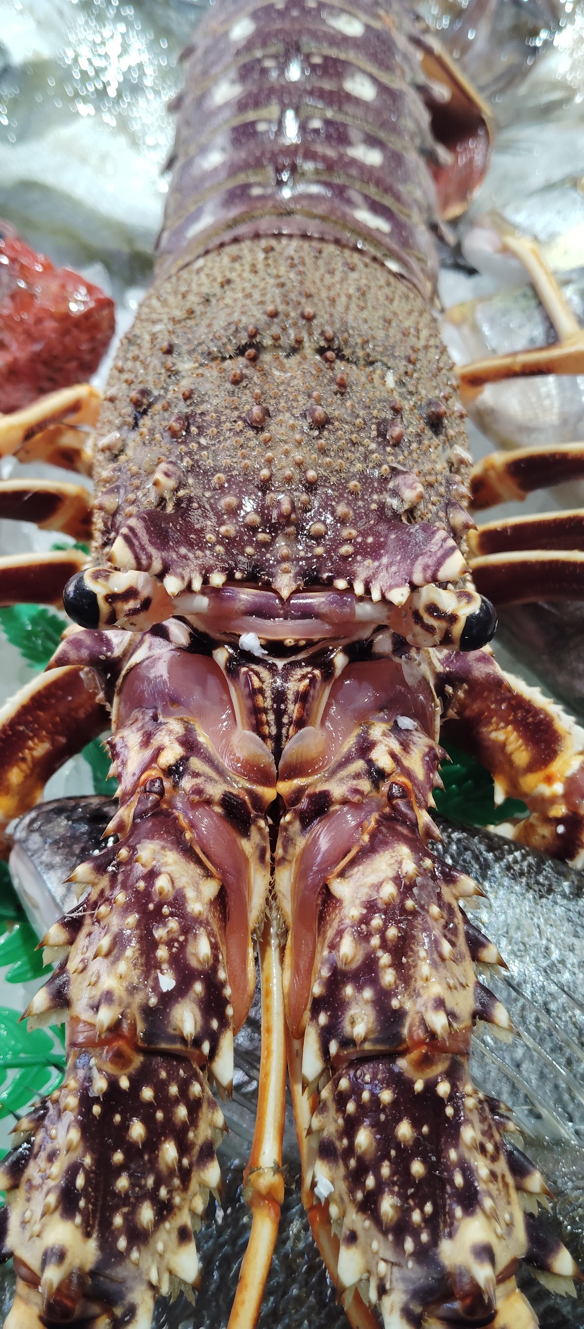 Pescadería - Marisquería El Puerto de Marcos