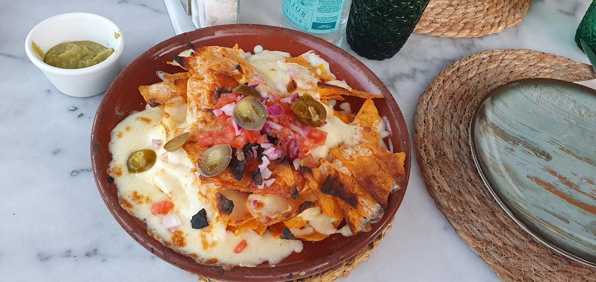 La Focaccia Maioris