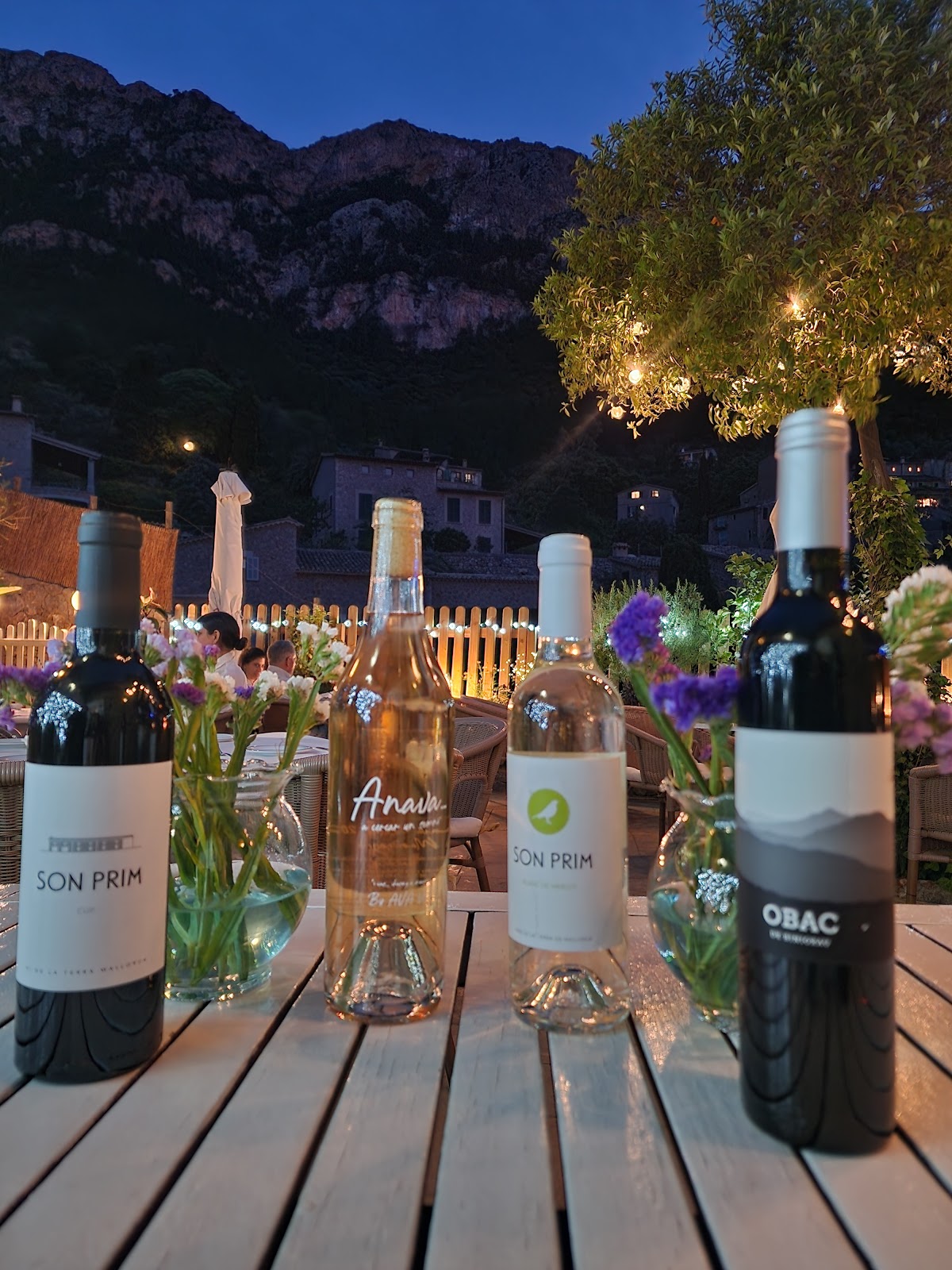 Restaurant Sa Vinya