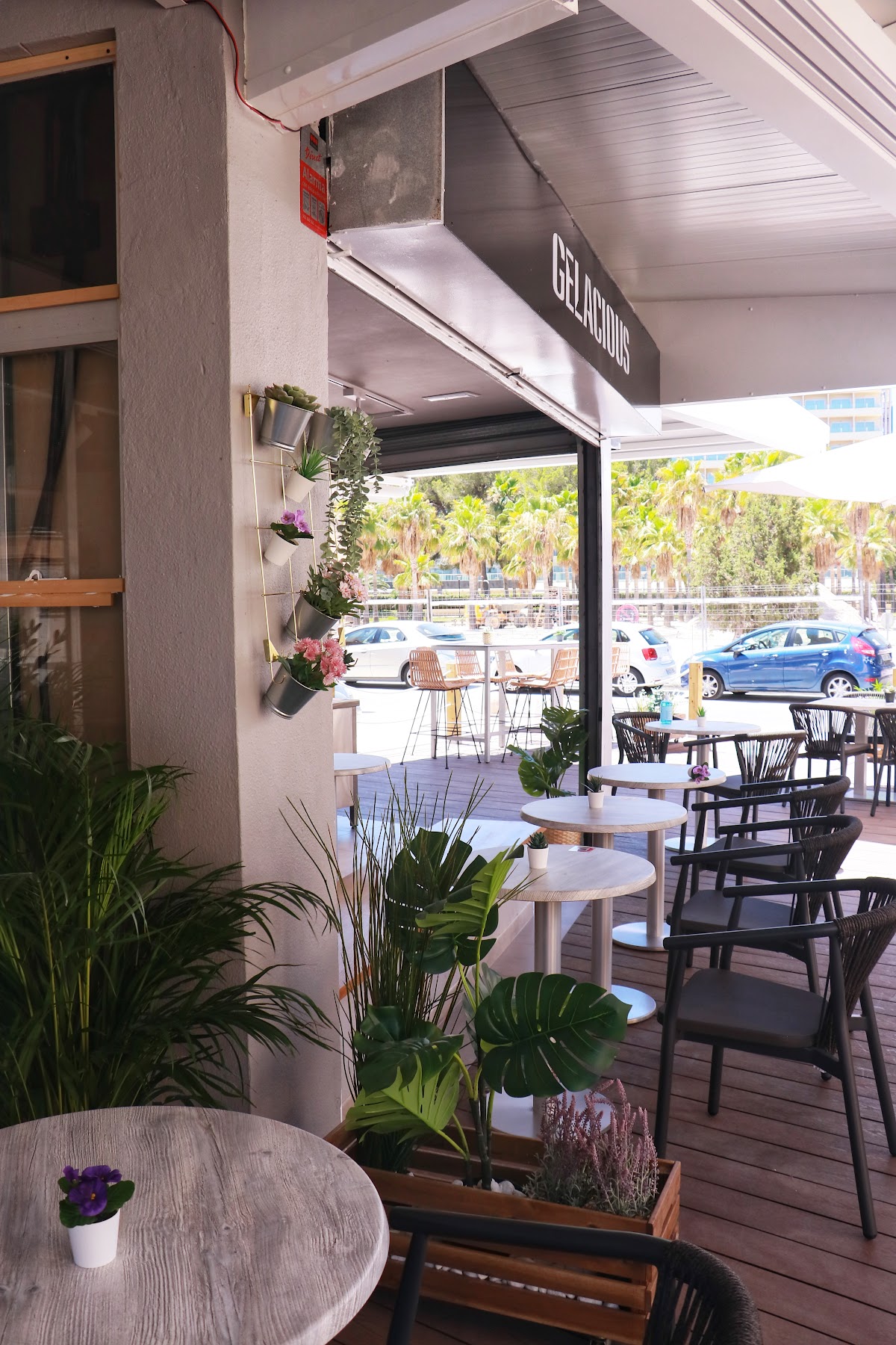 Gelacious: Restaurant Palmanova, Brunch, Cocktail Bar