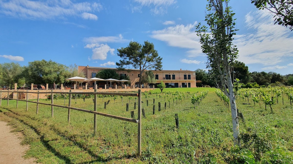 Finca Son Menut