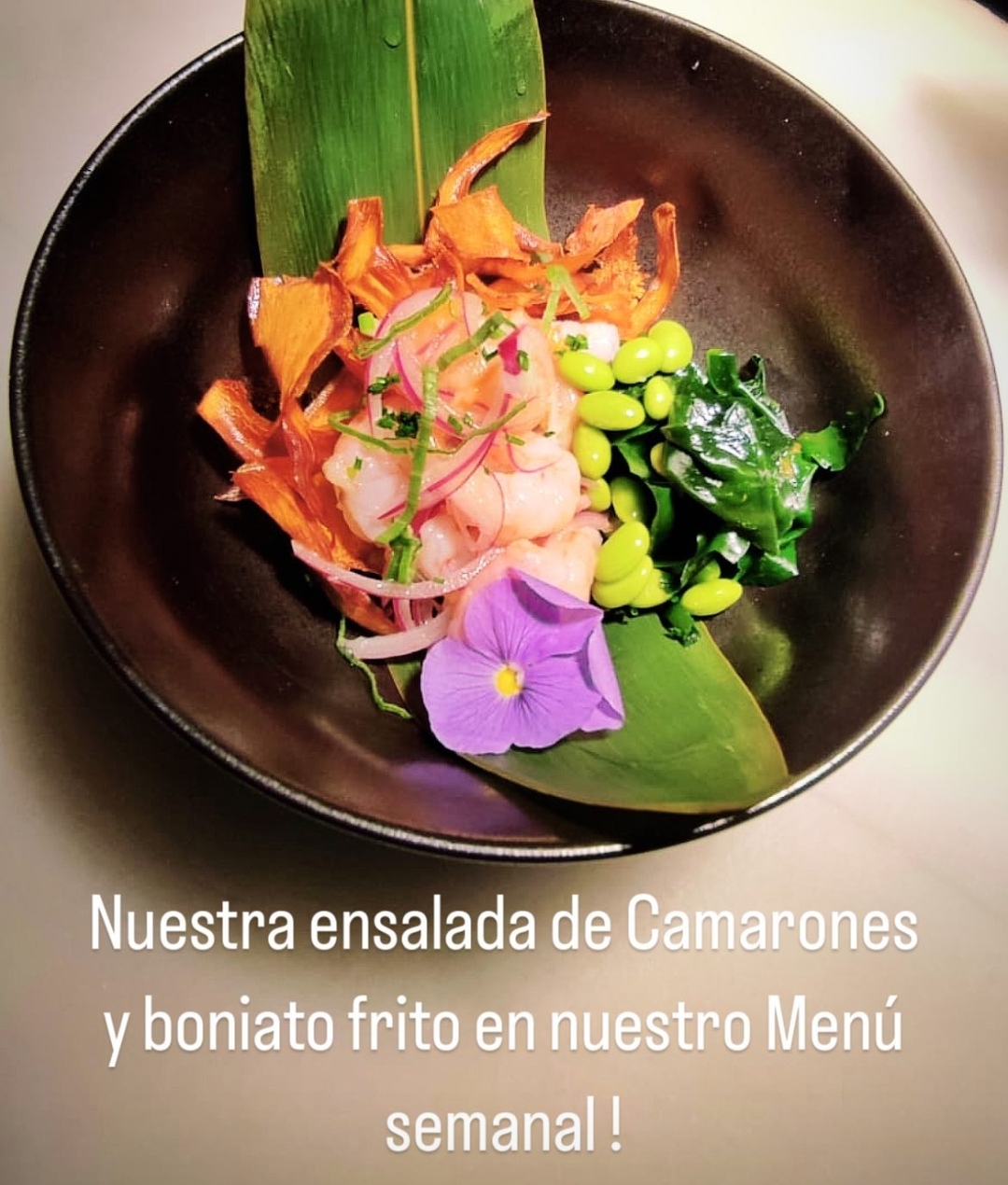 Kamaleonico