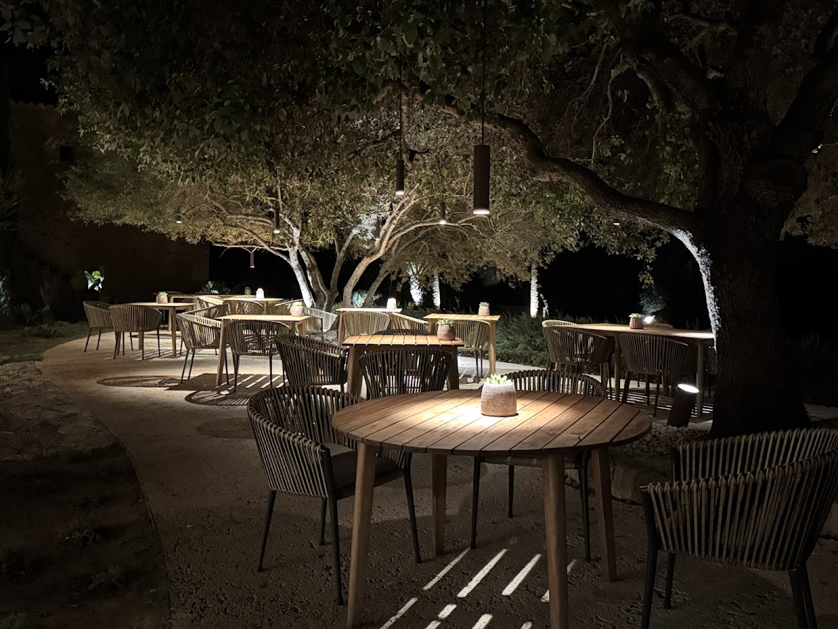 Restaurante Beni Axir (+14 only adults)