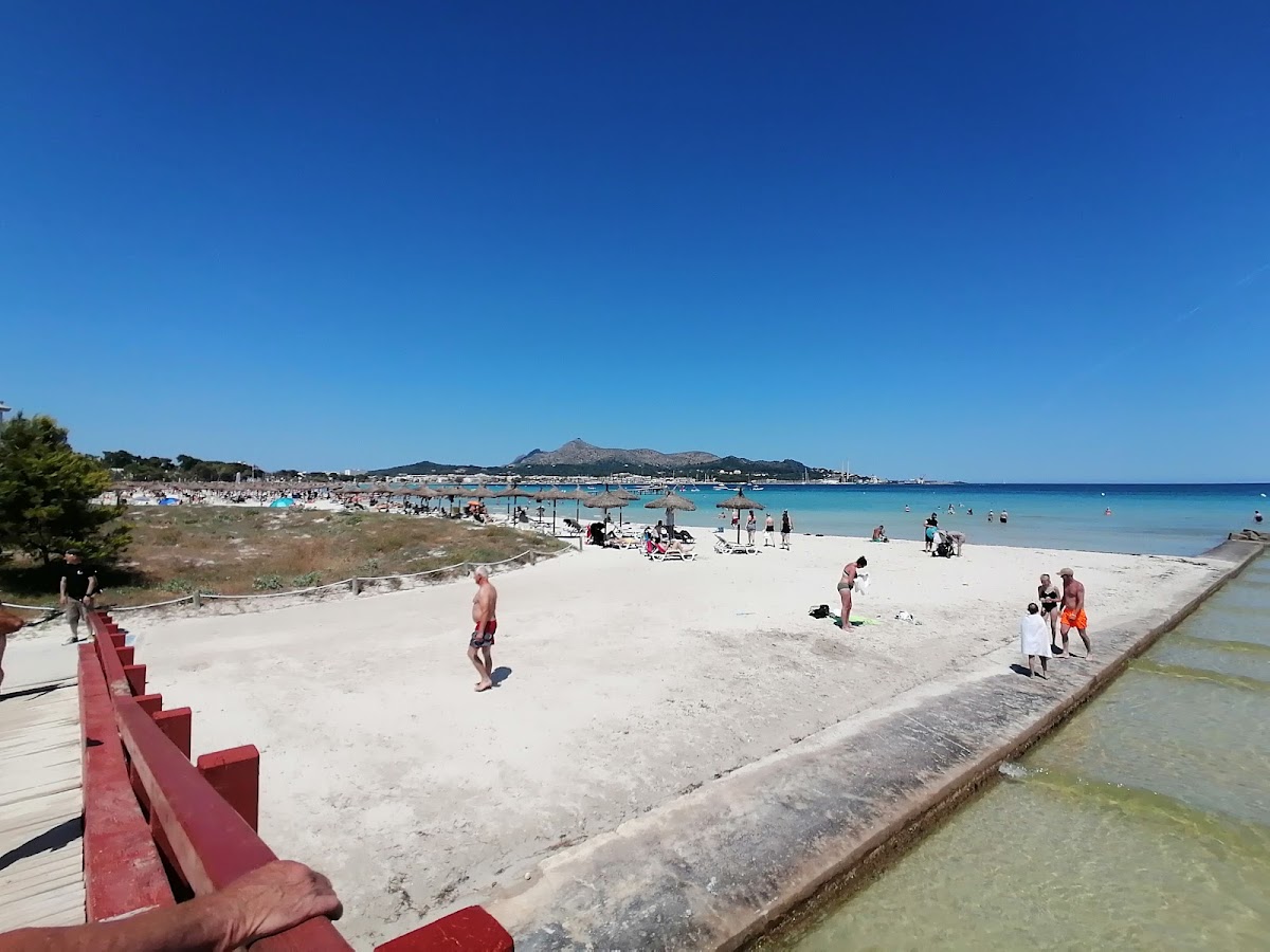 Playero