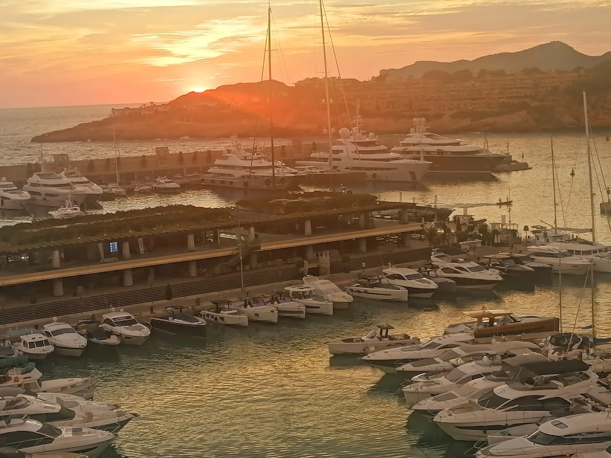 Akaeemie Port Adriano S L