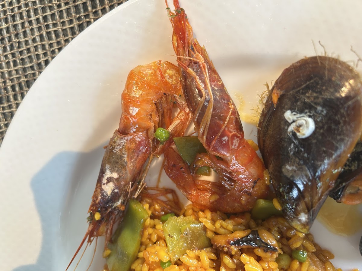 Chameli's Café & Restaurant