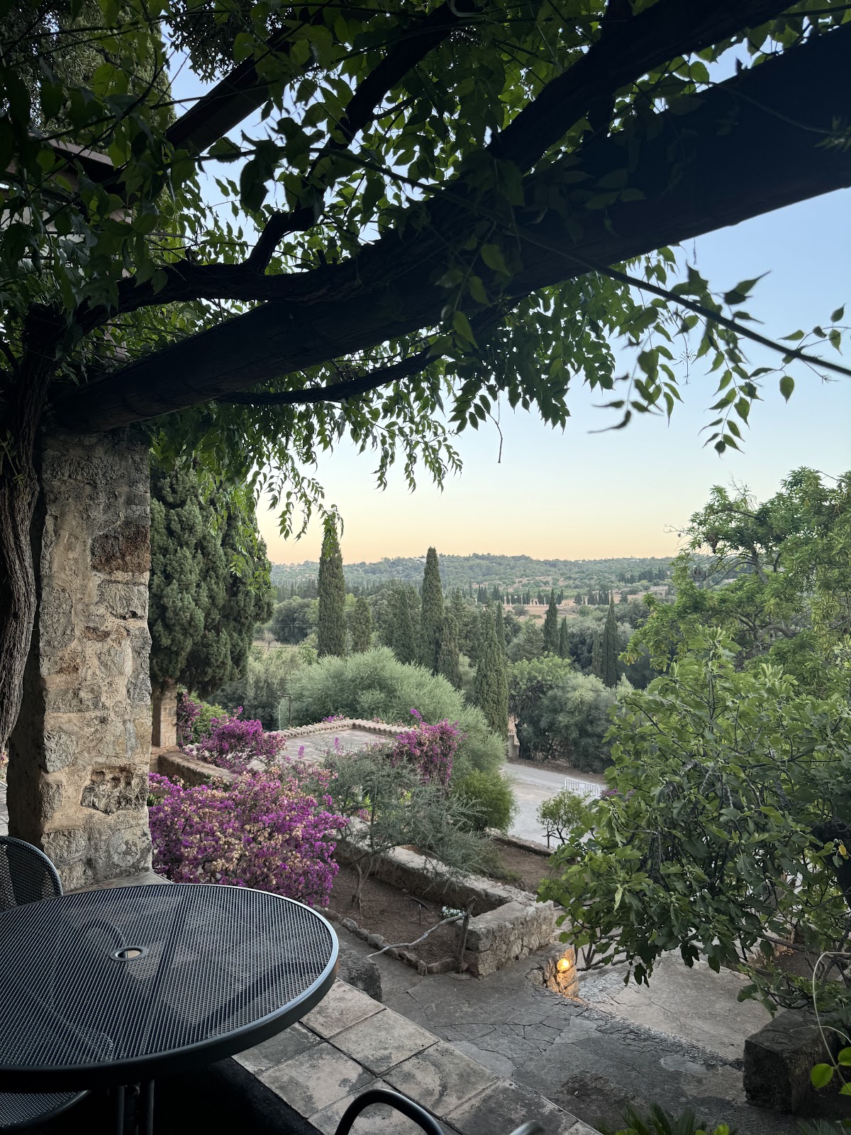 Ses Coves. Cafè & Grill